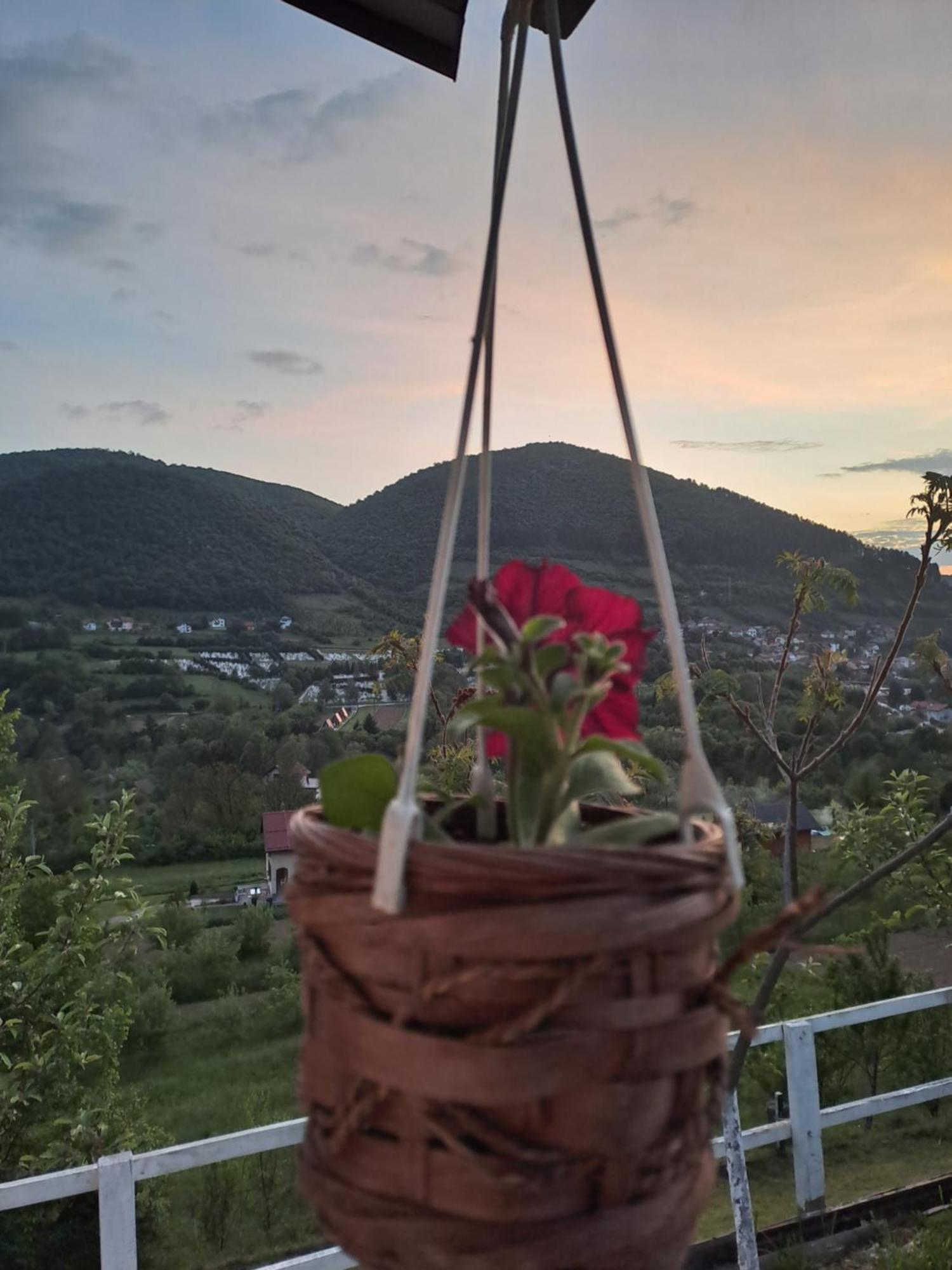 Natural House Visoko Szoba fotó